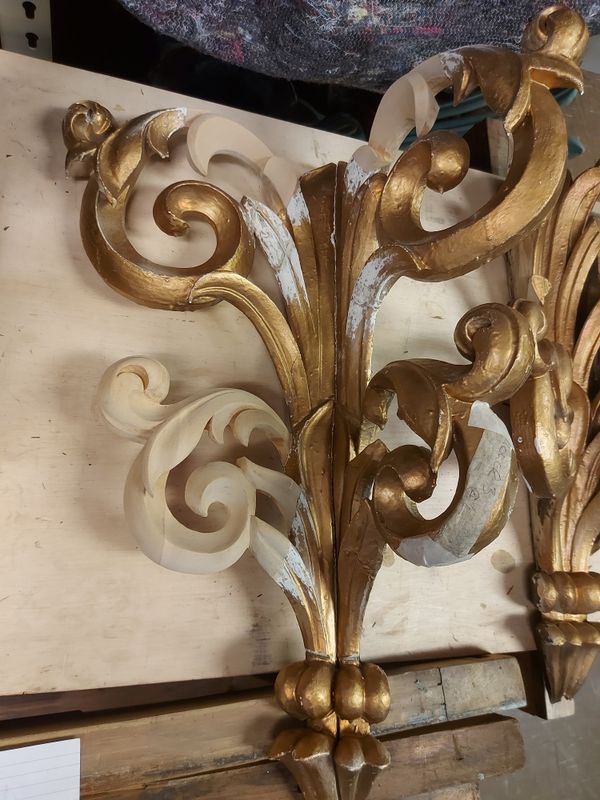 Organ Renewal Project