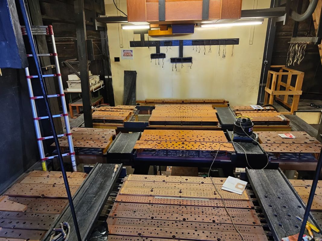Organ Renewal Project