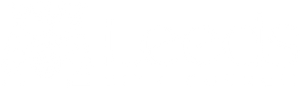 Leeds City Council logo